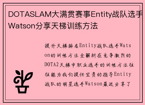 DOTASLAM大满贯赛事Entity战队选手Watson分享天梯训练方法